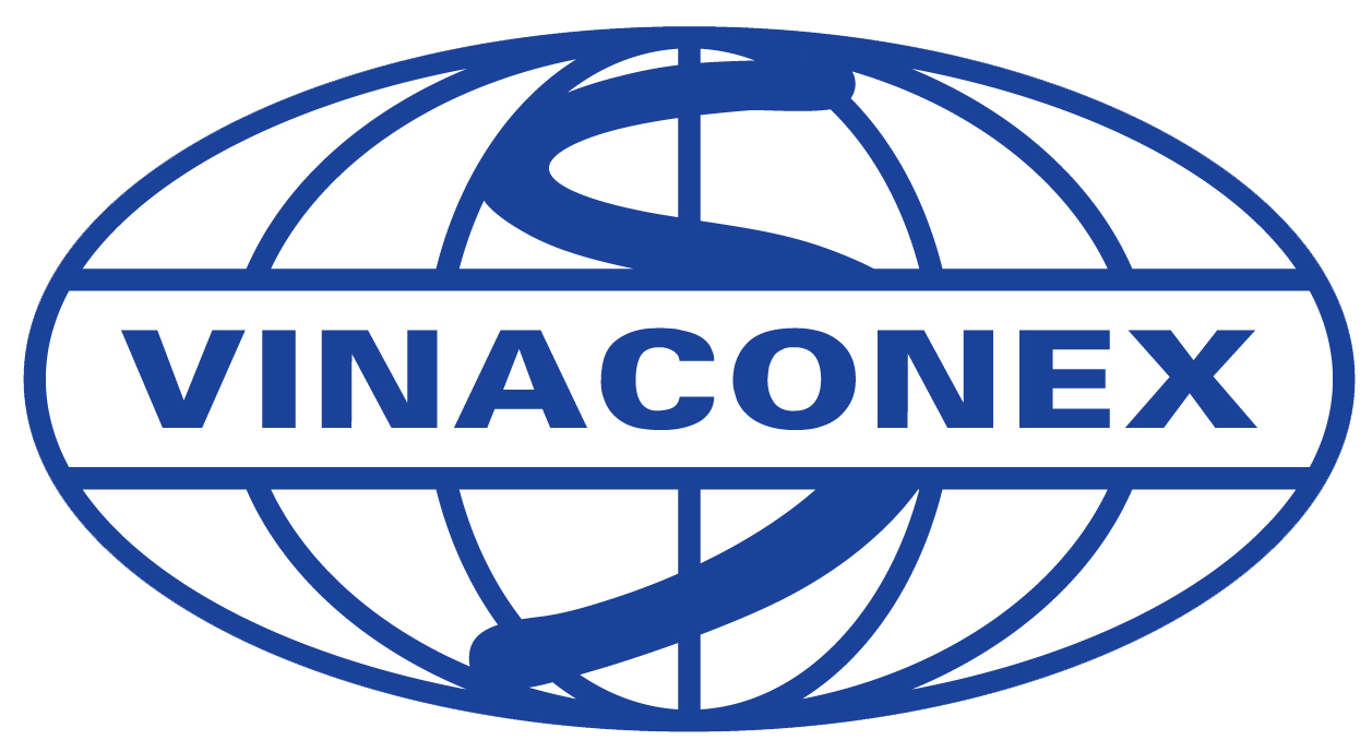 LogoVinaconex